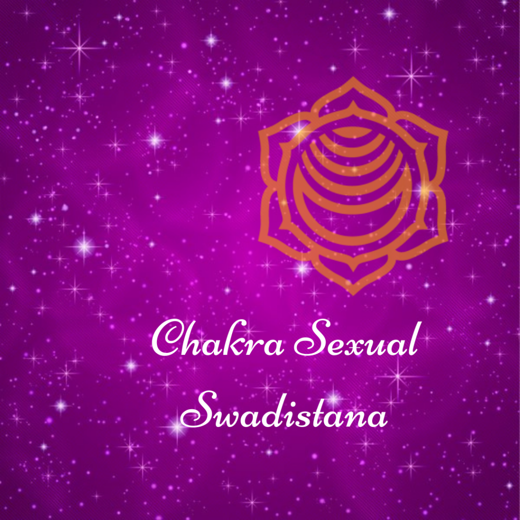 Chakra sexual o swadistana. Ubicado debajo del ombligo.